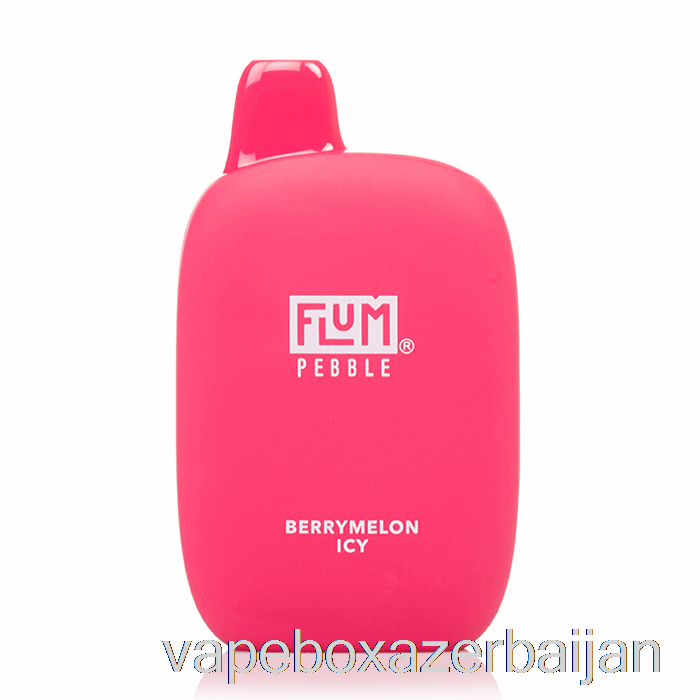 E-Juice Vape Flum Pebble 6000 Disposable Berrymelon Icy